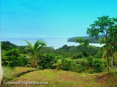 Sections, accommodation nori juice potential with this sale land overlooking the pacific ocean 